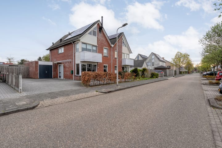 Foto 3 van Boterbloem 117