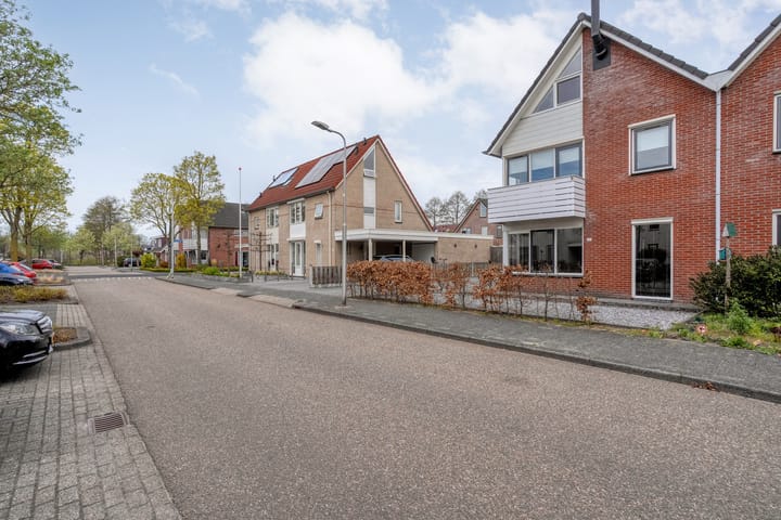 Foto 4 van Boterbloem 117