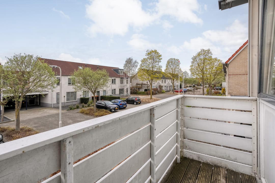 Foto 32 van Boterbloem 117