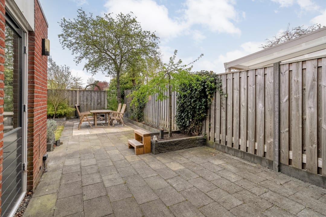 Foto 43 van Boterbloem 117