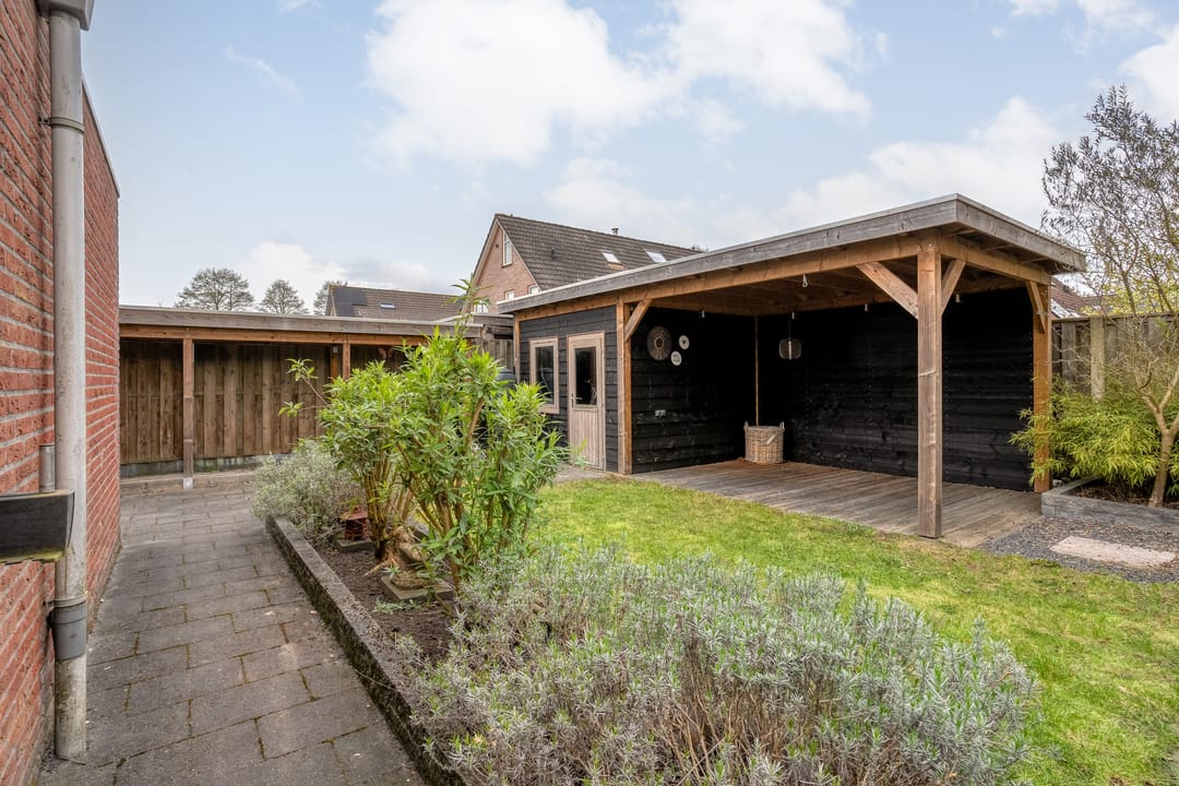 Foto 47 van Boterbloem 117