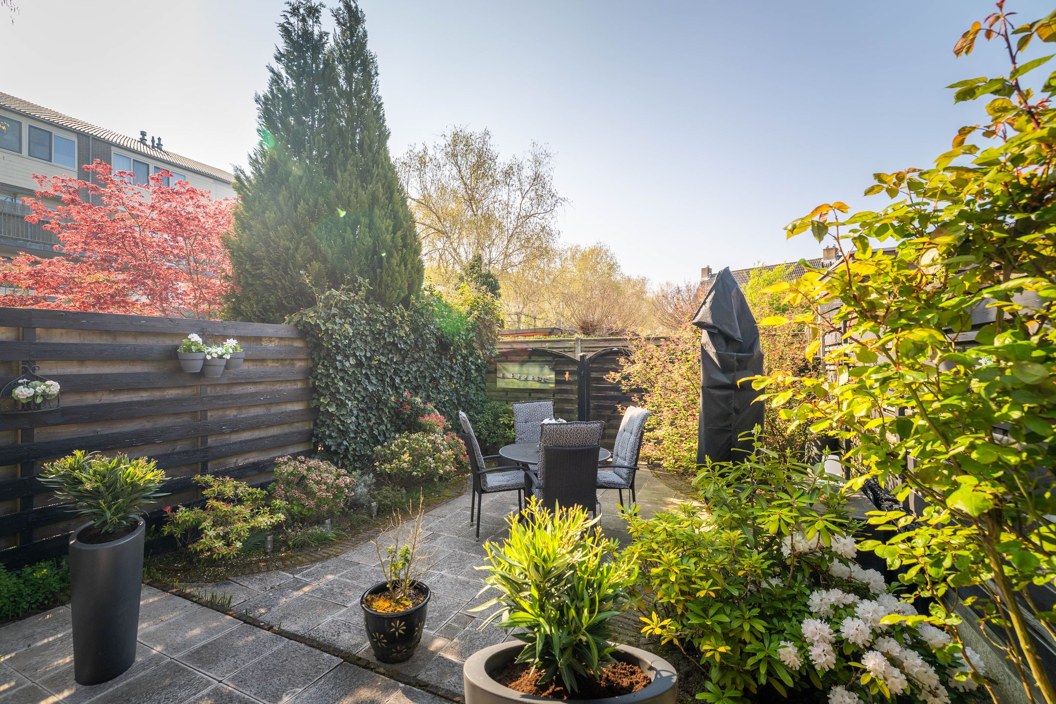 Foto 30 van Libel 26