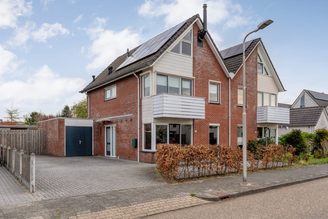 Foto 2 van Boterbloem 117