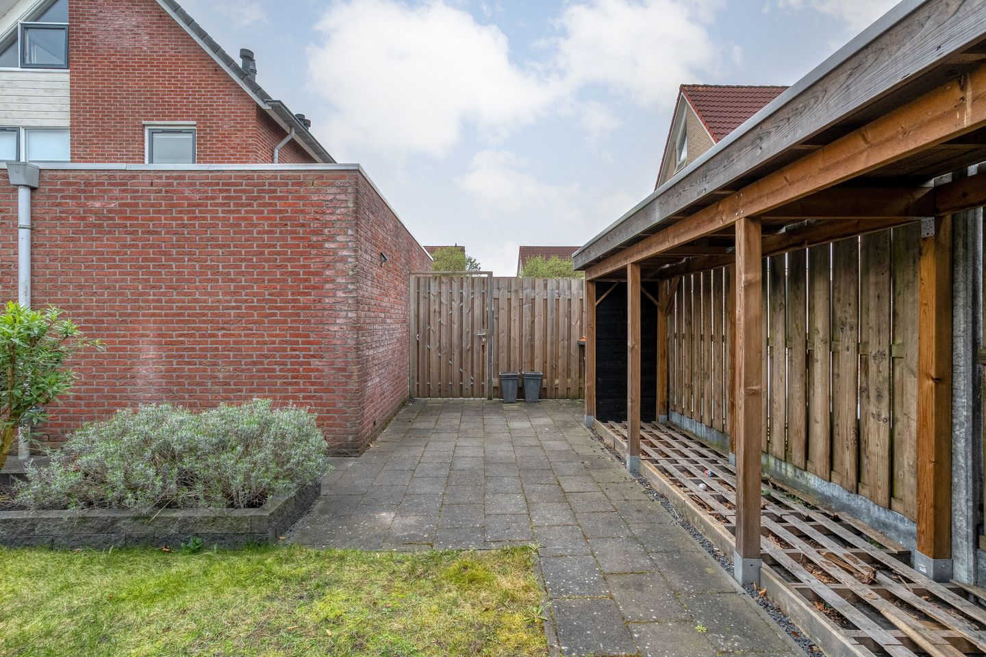 Foto 50 van Boterbloem 117