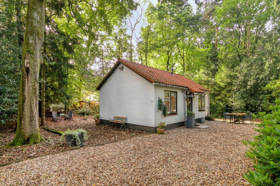 Foto 2 van Mosselsepad 24-K