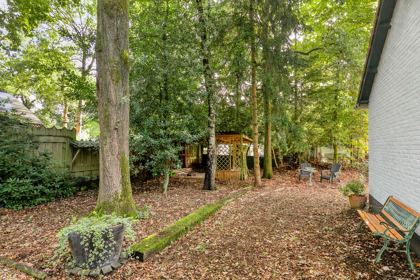 Foto 25 van Mosselsepad 24-K