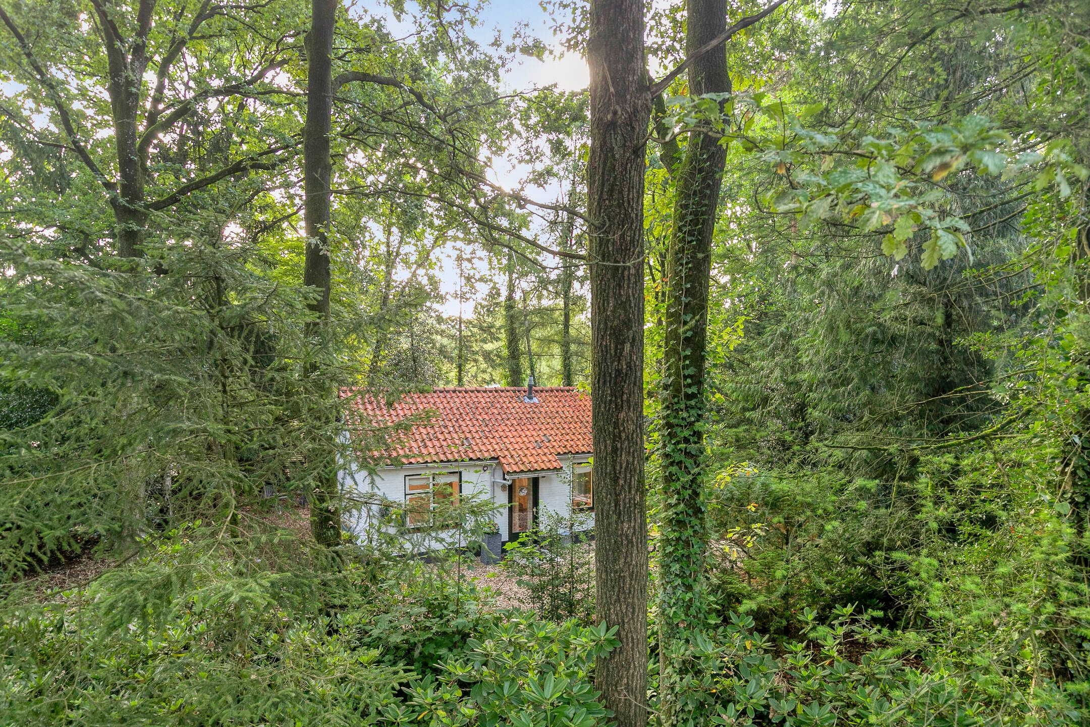 2-bedroom freehold villa in Otterlo — photo 4 of 5