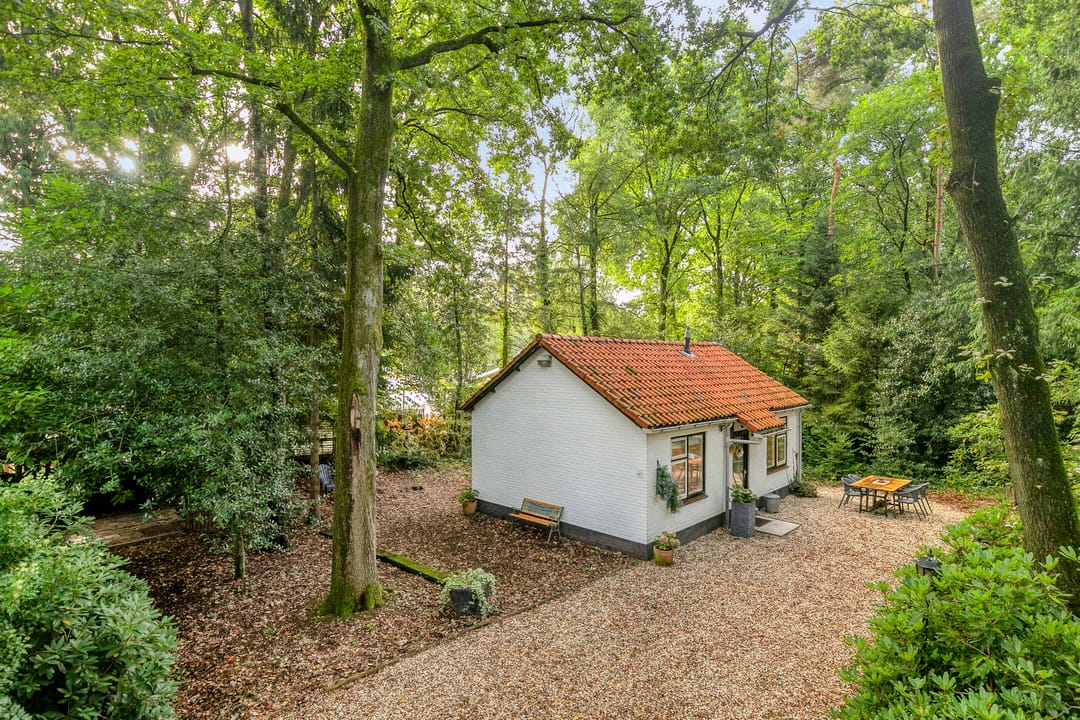 Foto 1 van Mosselsepad 24-K