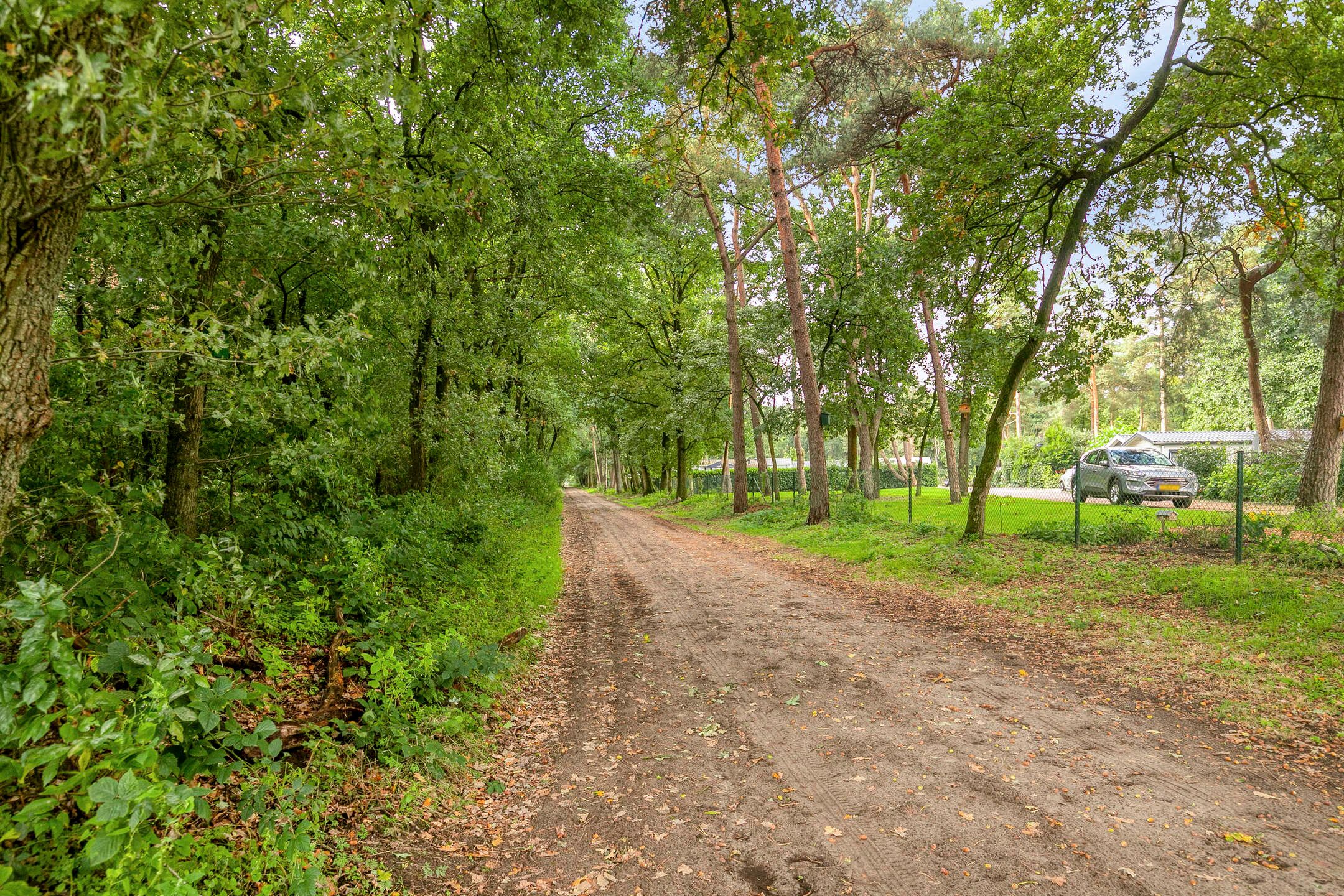 Foto 27 van Mosselsepad 24-K