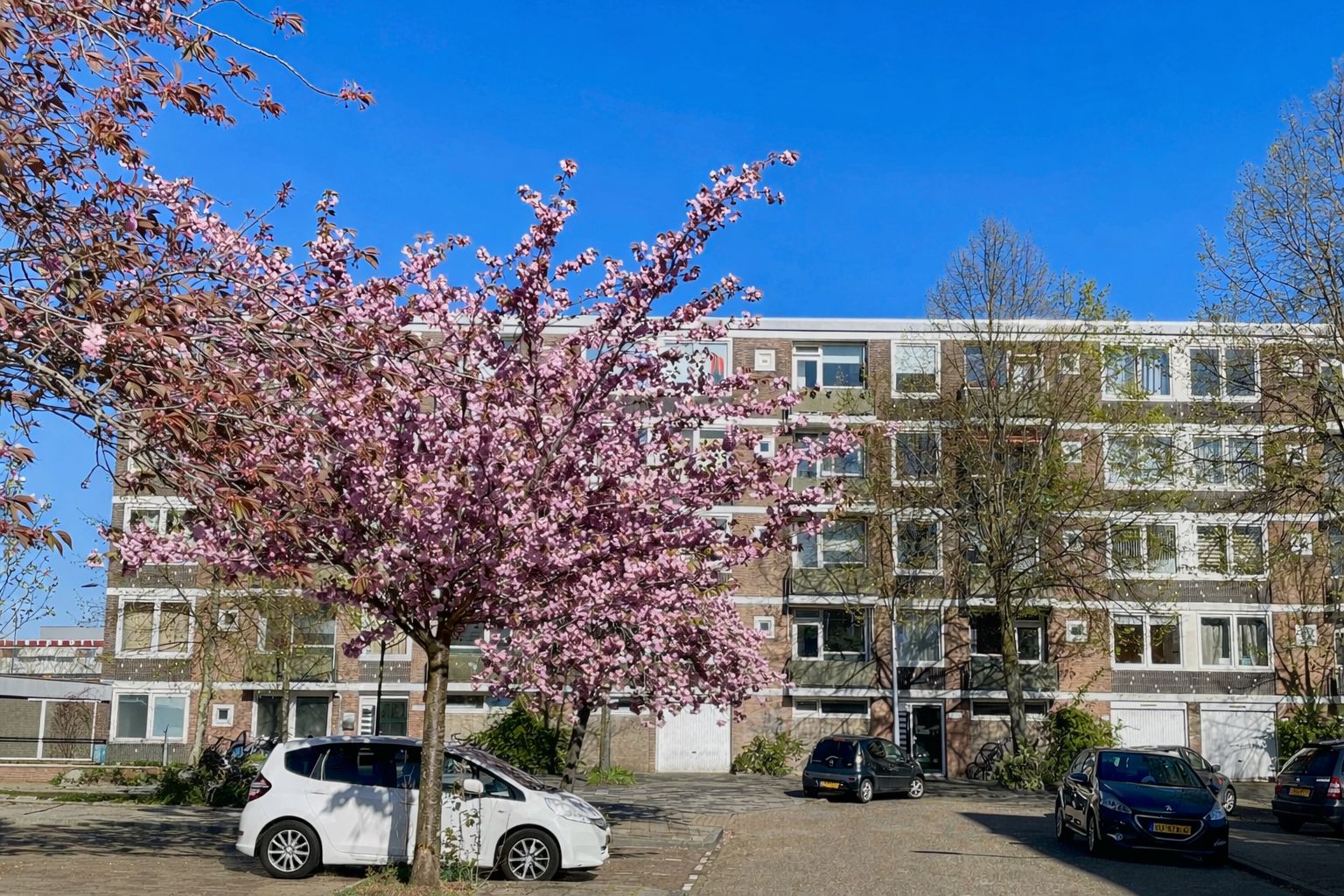 Ruslandstraat 25 