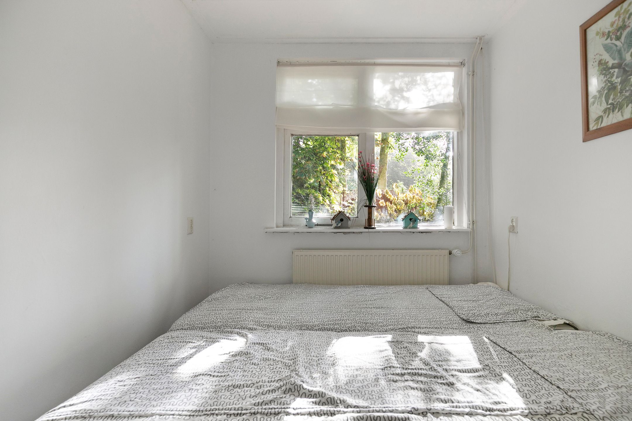 Foto 15 van Mosselsepad 24-K