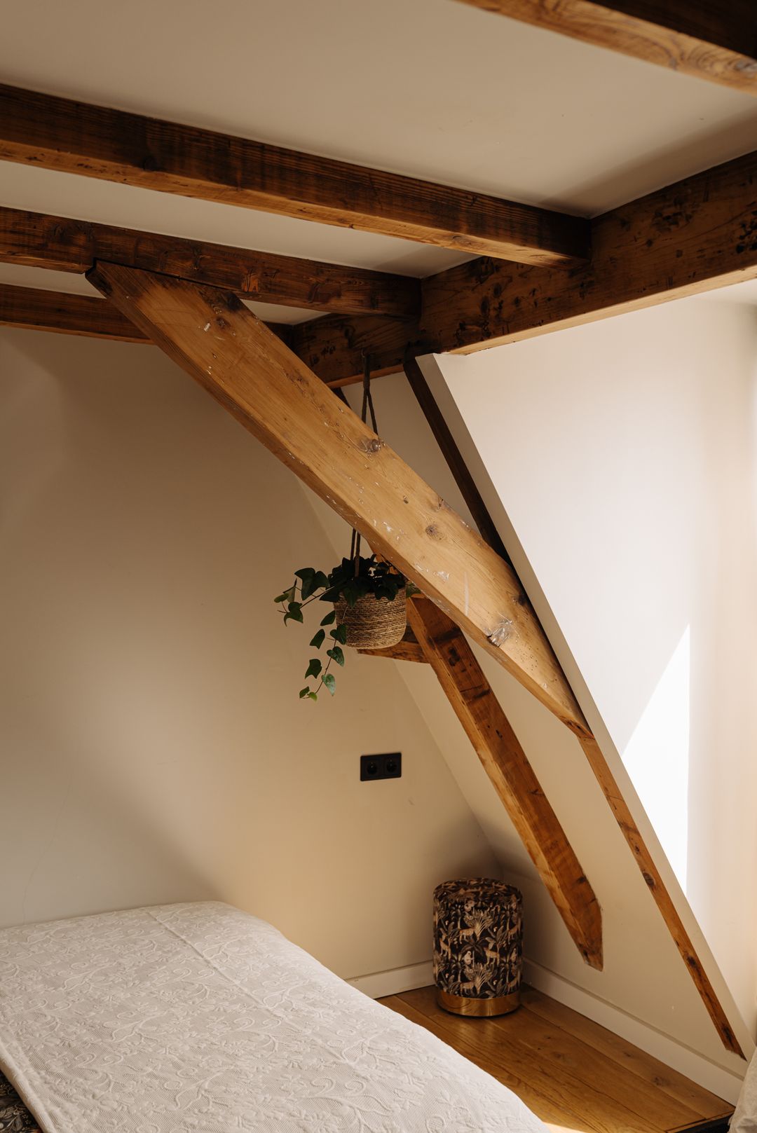 Foto 17 van Jan Lievensstraat 23