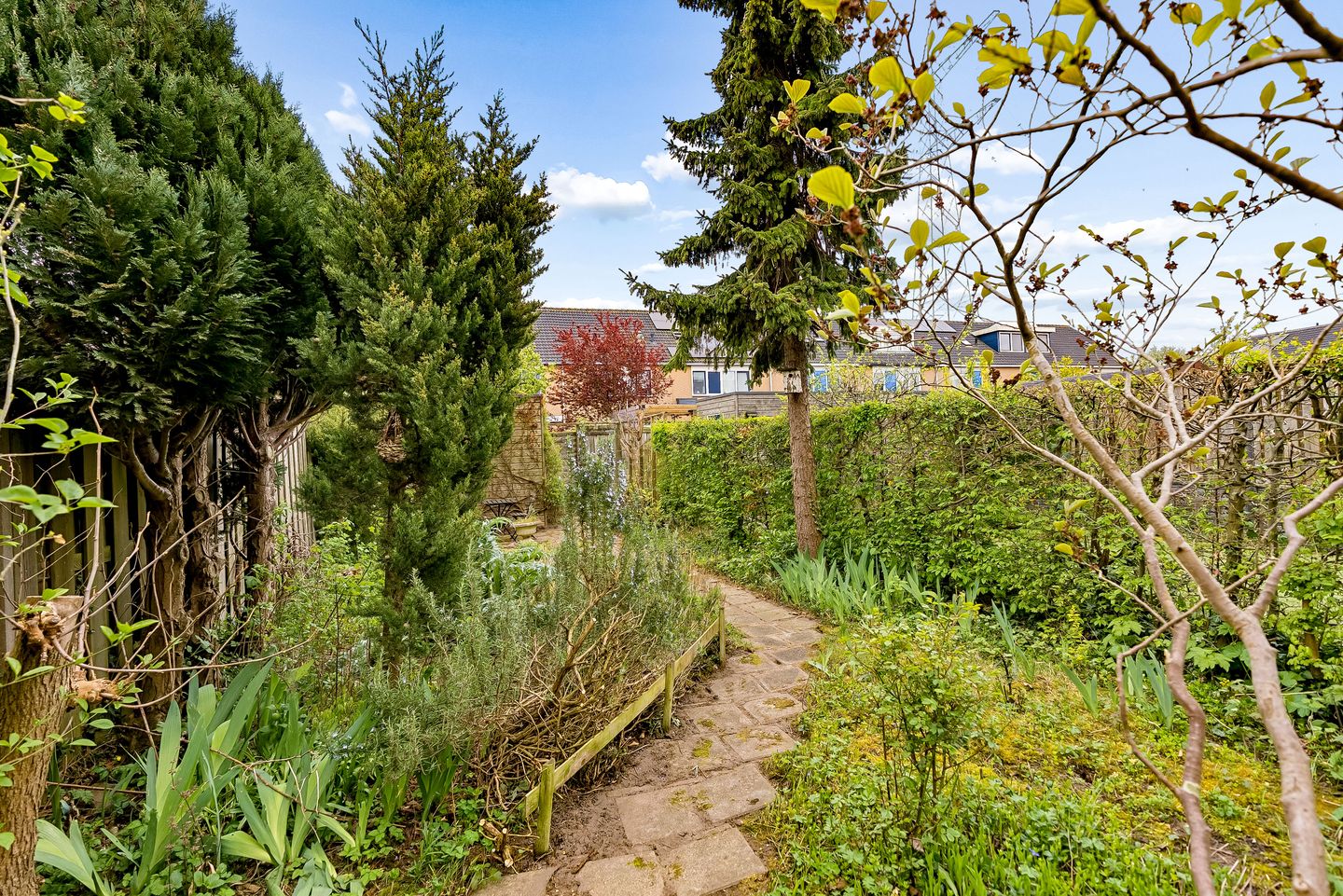 Photo 14 of Catalpastraat 56