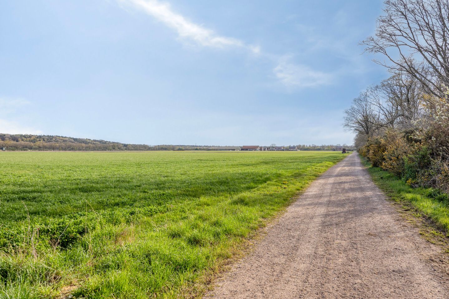 Foto 79 van Waterloseweg 6-B