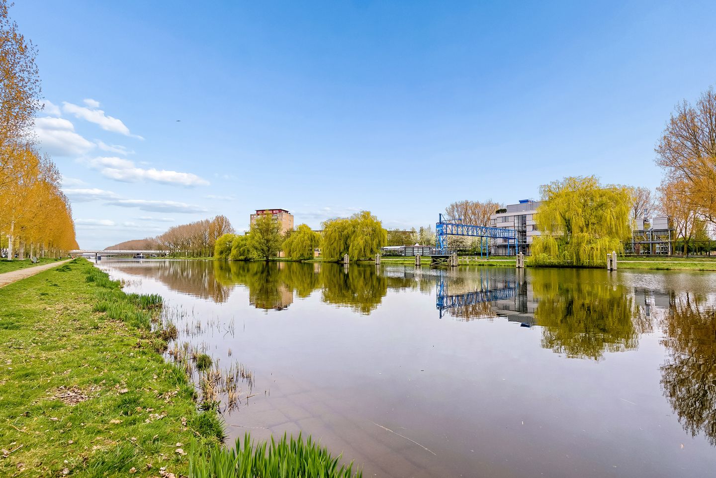 Photo 40 of Catalpastraat 56