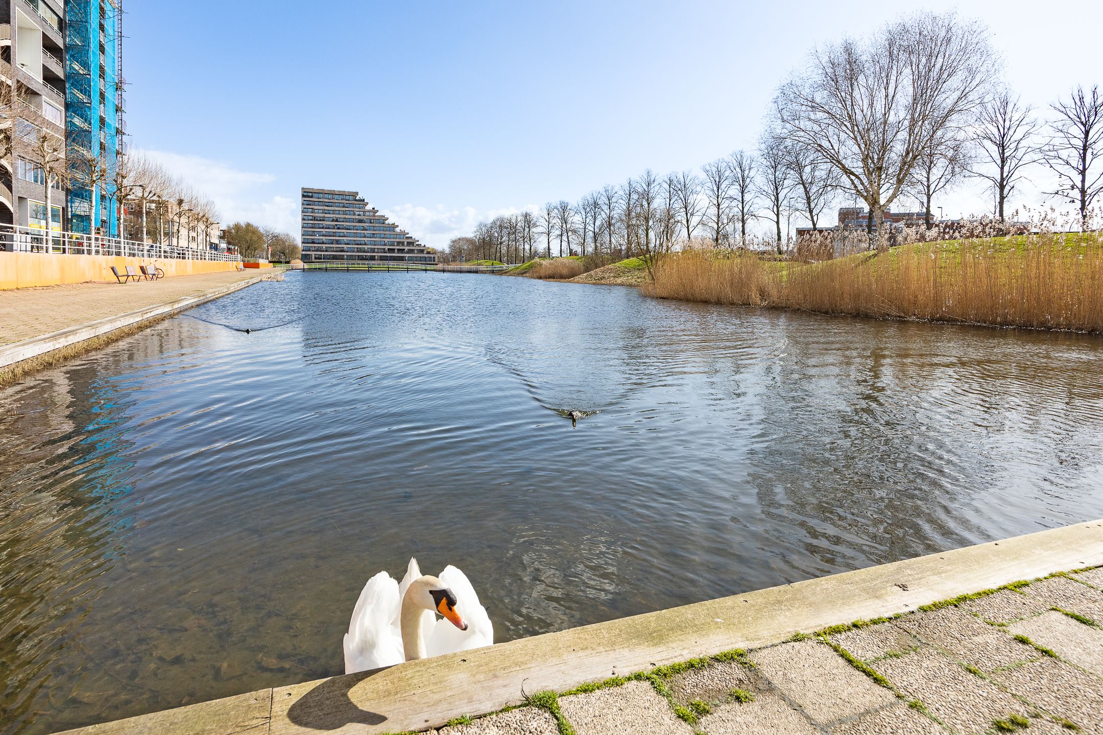 Photo 36 of Zilverparkkade 30