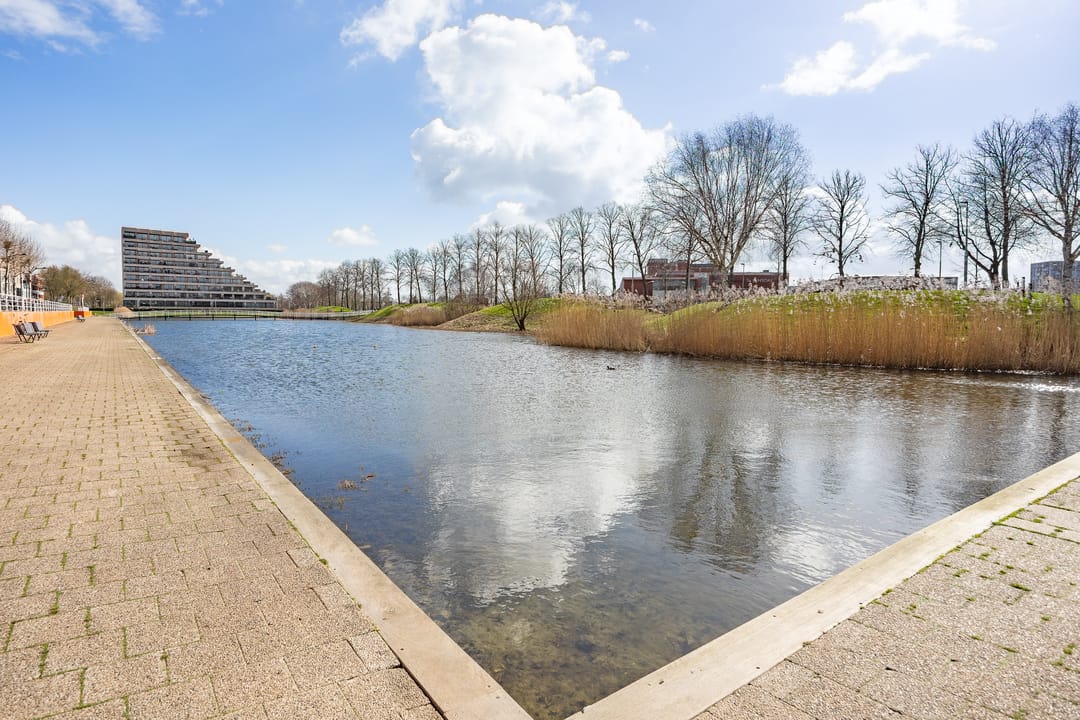 Photo 38 of Zilverparkkade 30