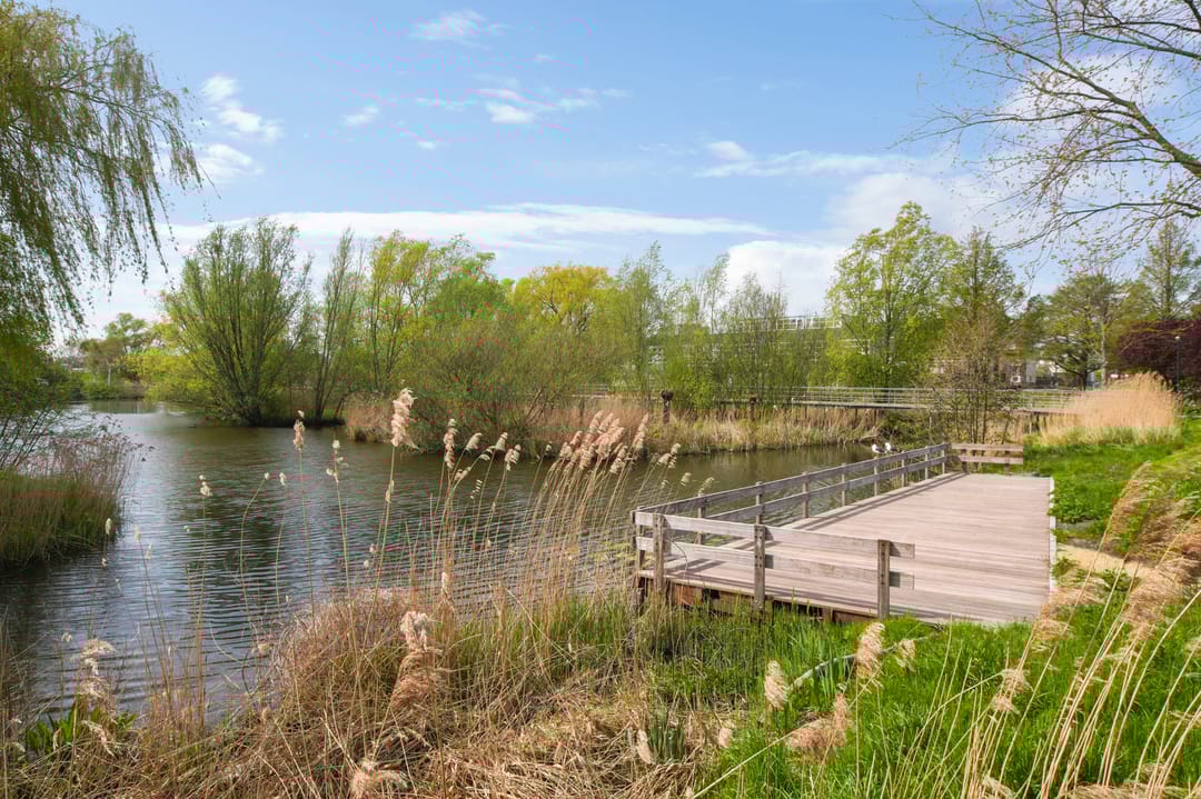 Foto 17 van Guldenpromenade 15