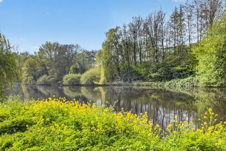 Foto 2 van Kometensingel 355