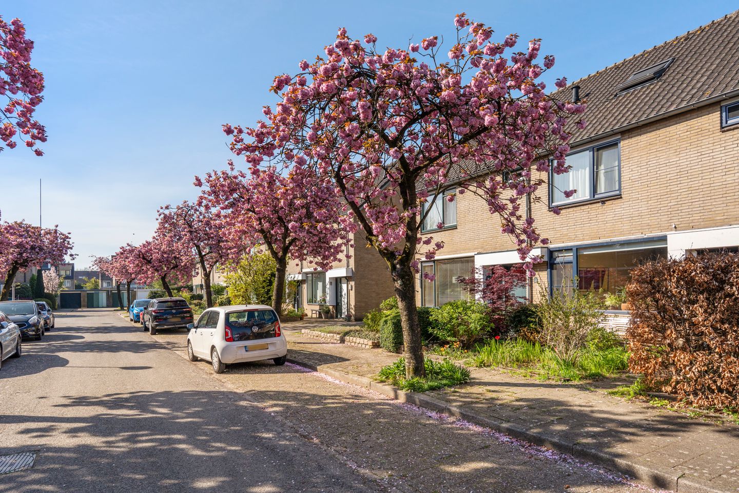 Foto 40 van Hof van Putten 33