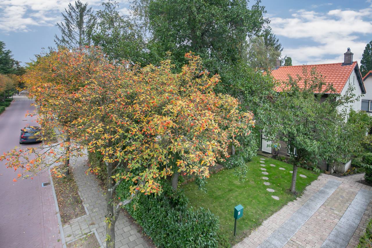 Photo 4 of Holleweg 19