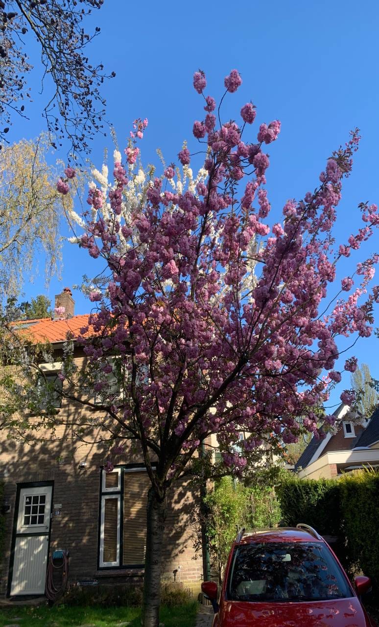 Photo 38 of Holleweg 19