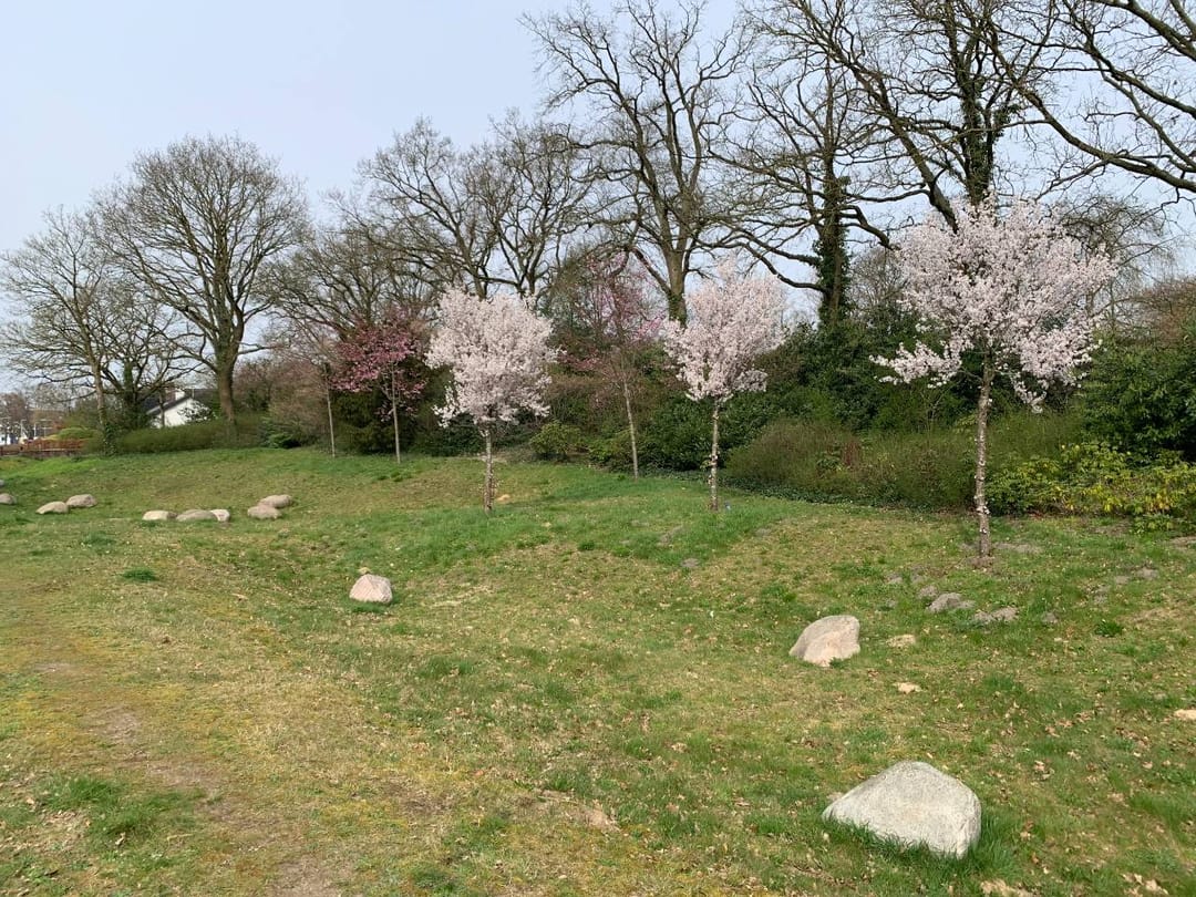 Photo 47 of Holleweg 19