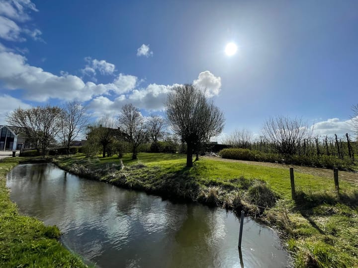 Foto 3 van Vogelenzangseweg 28