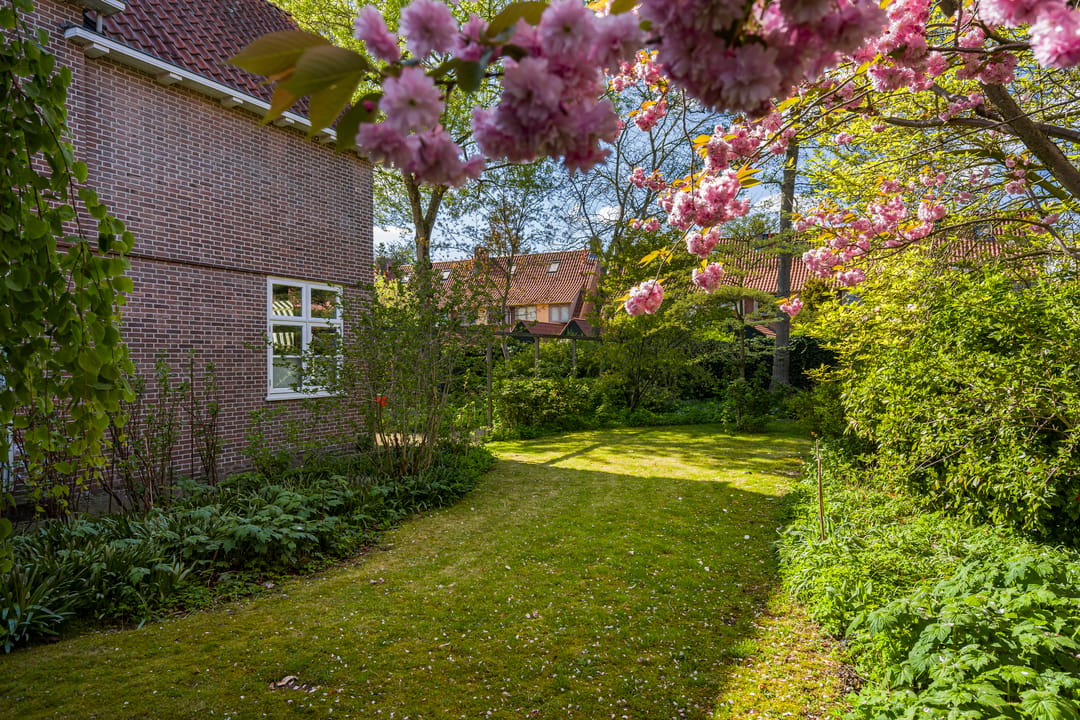 Foto 46 van Lede 37