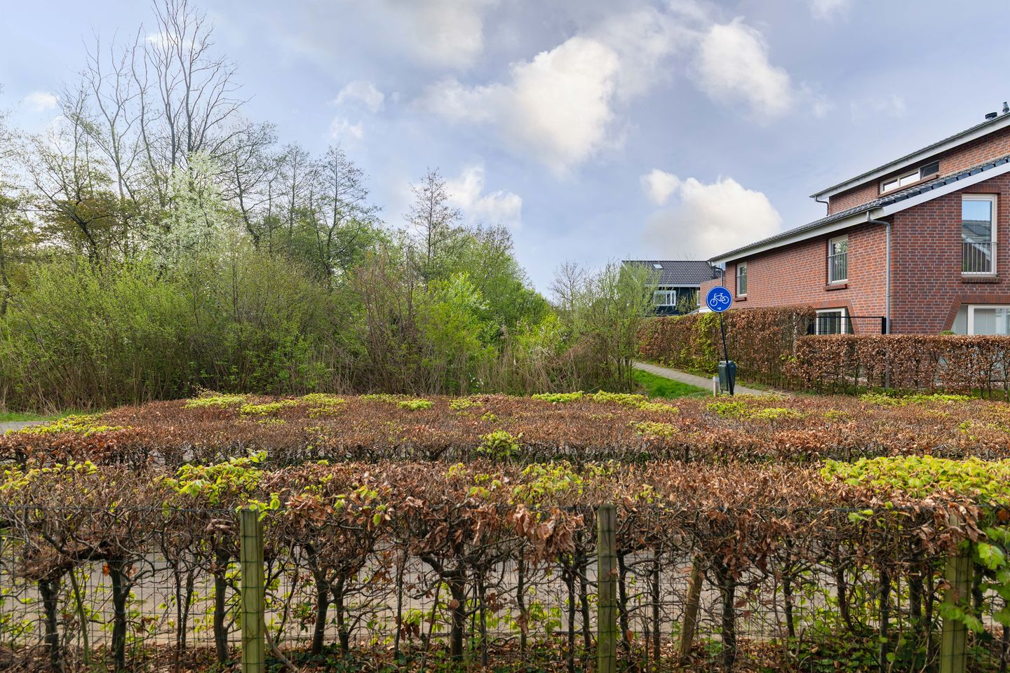 Photo 44 of Romeyn de Hooghestraat 43