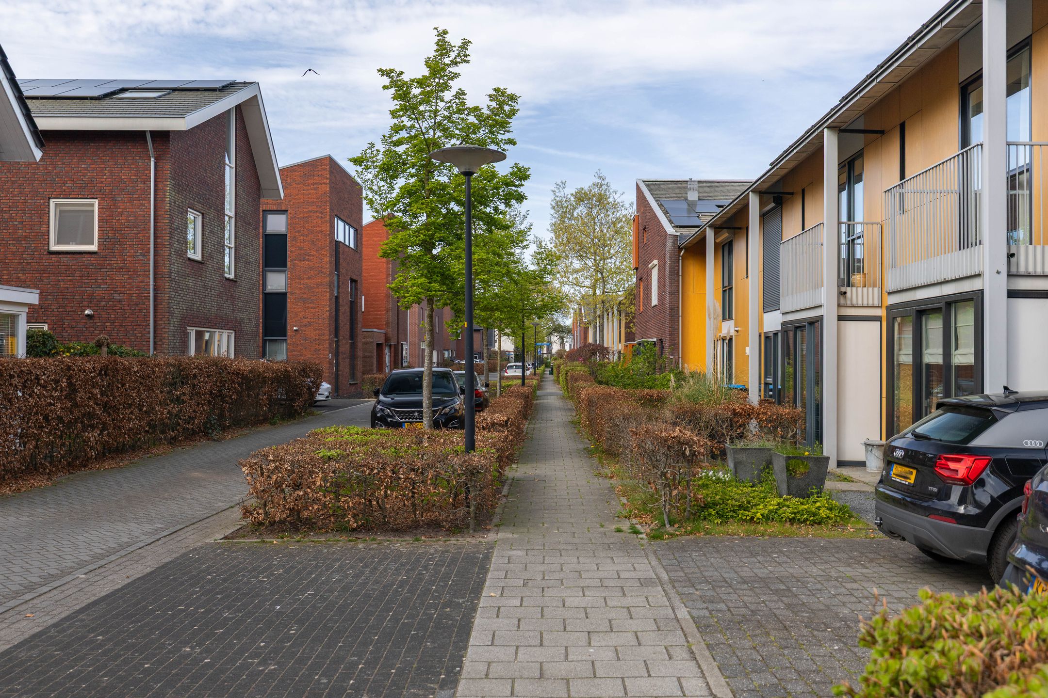 Photo 45 of Romeyn de Hooghestraat 43