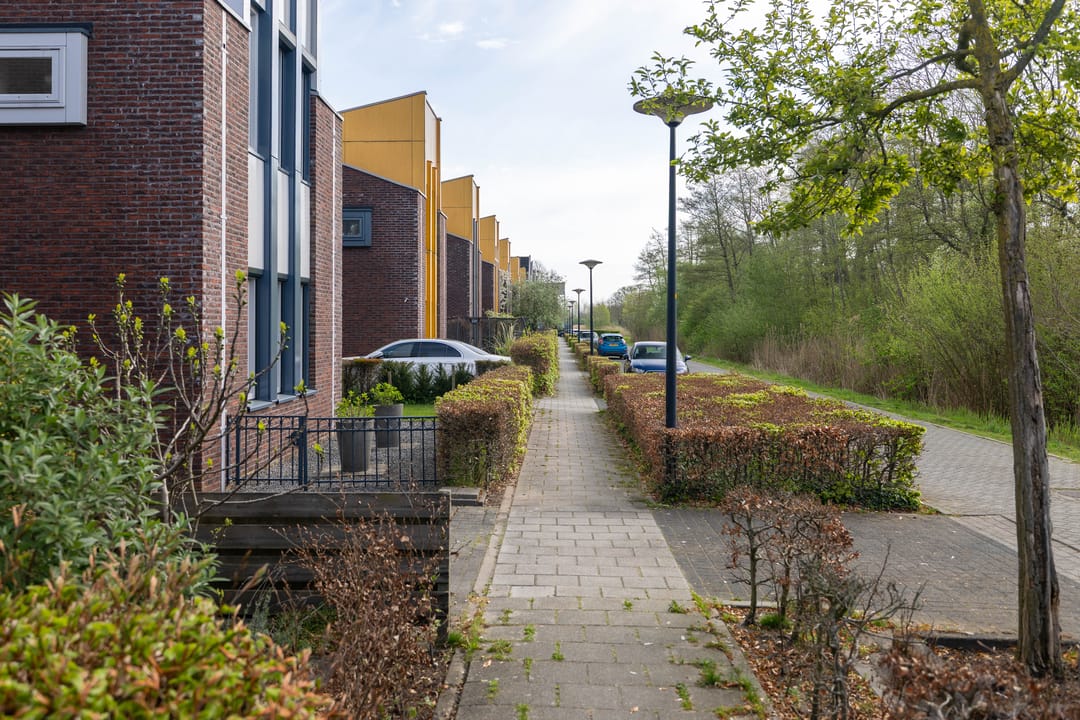 Photo 46 of Romeyn de Hooghestraat 43