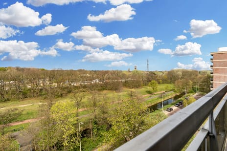 Else Mauhslaan thumbnail