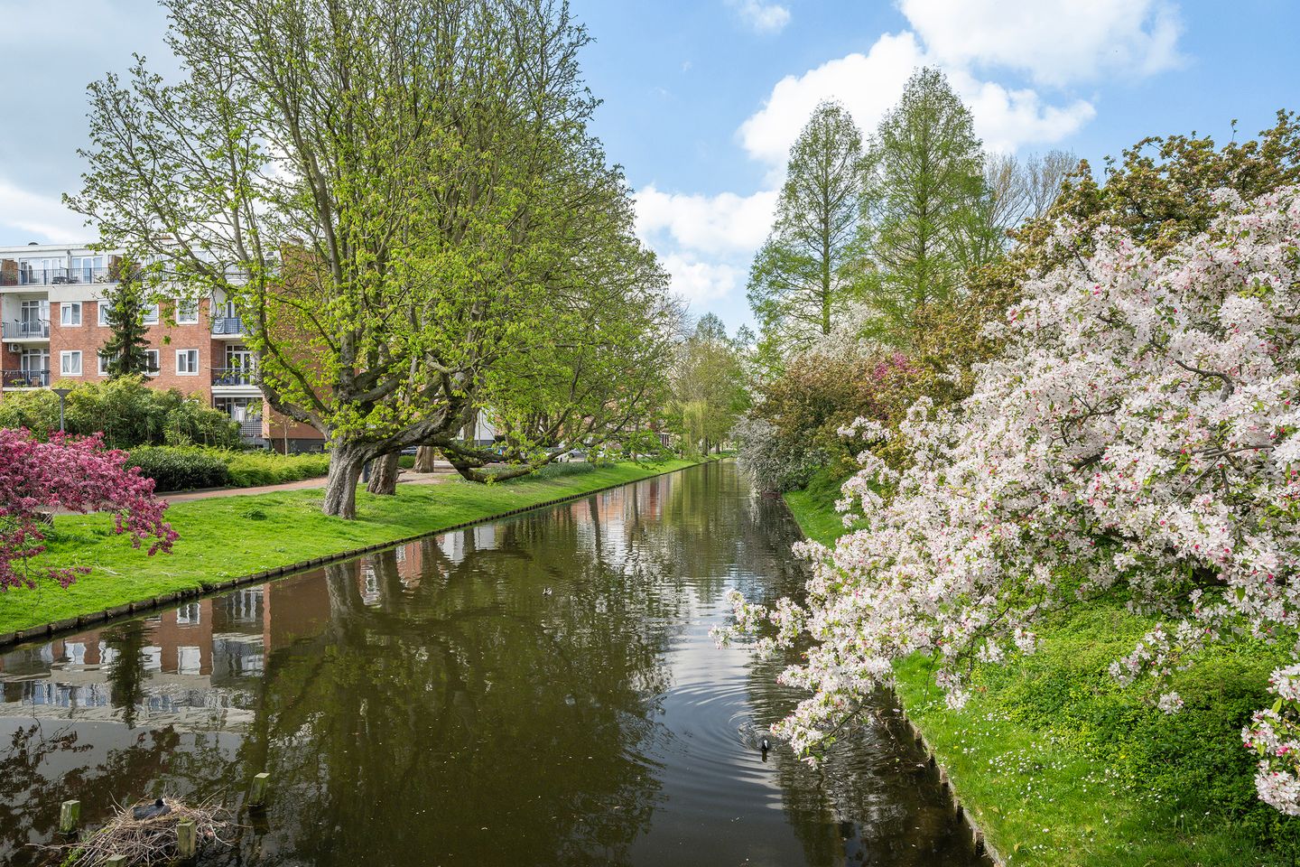Light 3-Room Apartment with Balcony in Rotterdam Delfshaven — 19