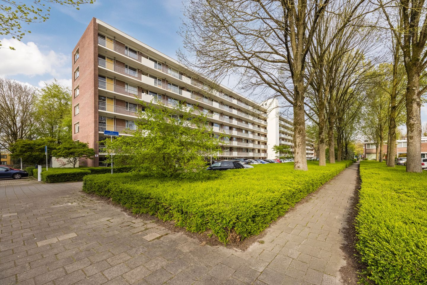 Foto 59 van Professor Cobbenhagenlaan 88