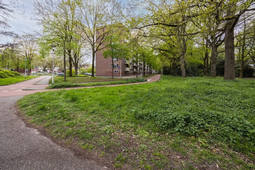 Foto 52 van Professor Cobbenhagenlaan 88