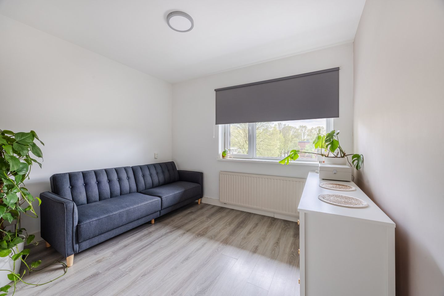 Foto 29 van Professor Cobbenhagenlaan 88