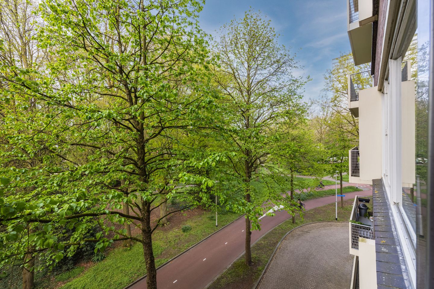 Foto 40 van Professor Cobbenhagenlaan 88