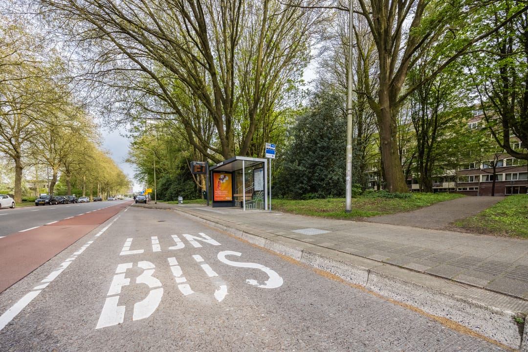 Foto 58 van Professor Cobbenhagenlaan 88