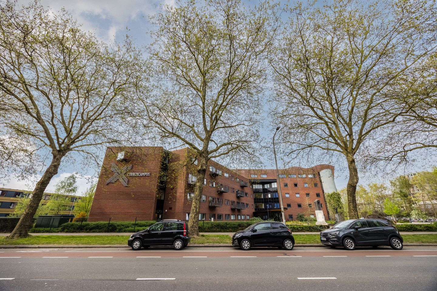 Foto 55 van Professor Cobbenhagenlaan 88