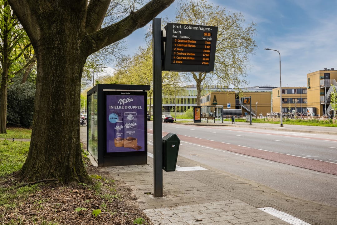 Foto 56 van Professor Cobbenhagenlaan 88