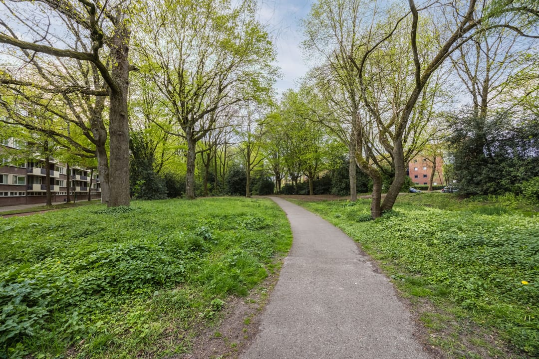 Foto 53 van Professor Cobbenhagenlaan 88