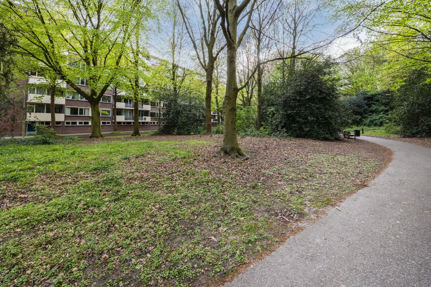 Foto 50 van Professor Cobbenhagenlaan 88