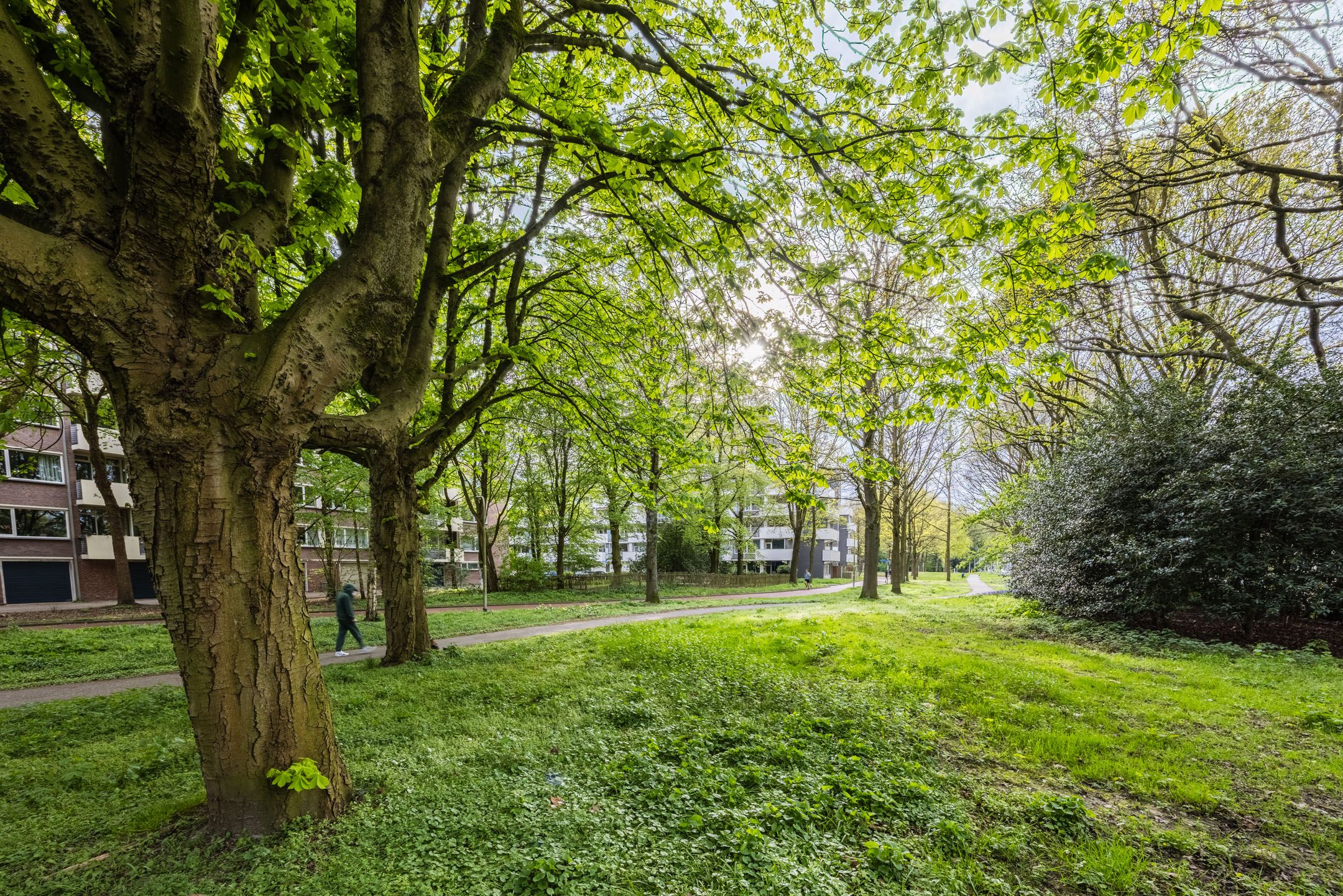 Foto 51 van Professor Cobbenhagenlaan 88