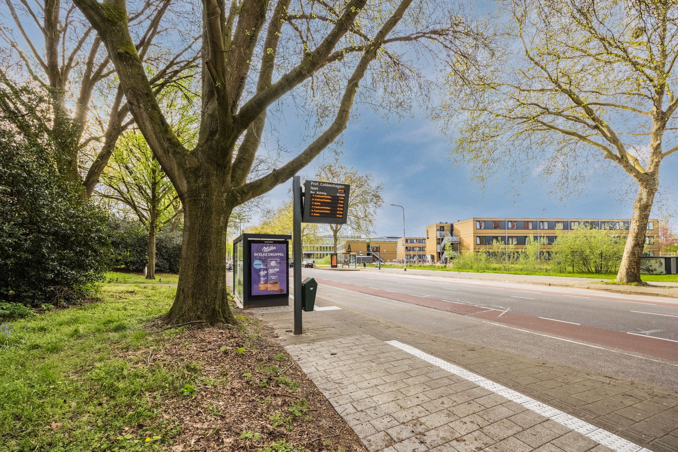 Foto 57 van Professor Cobbenhagenlaan 88