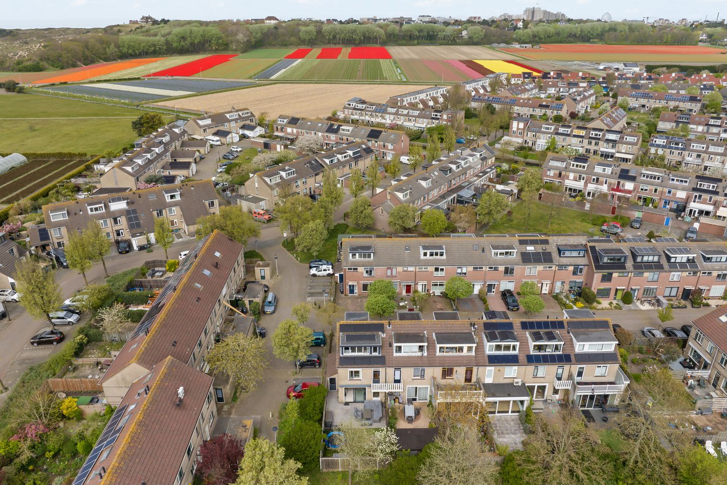 Foto 35 van Branding 27