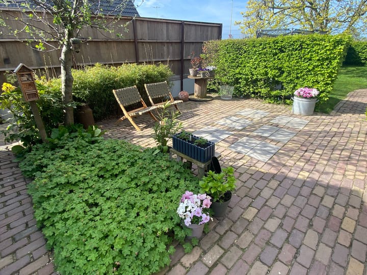 Foto 4 van Tielsestraat 113