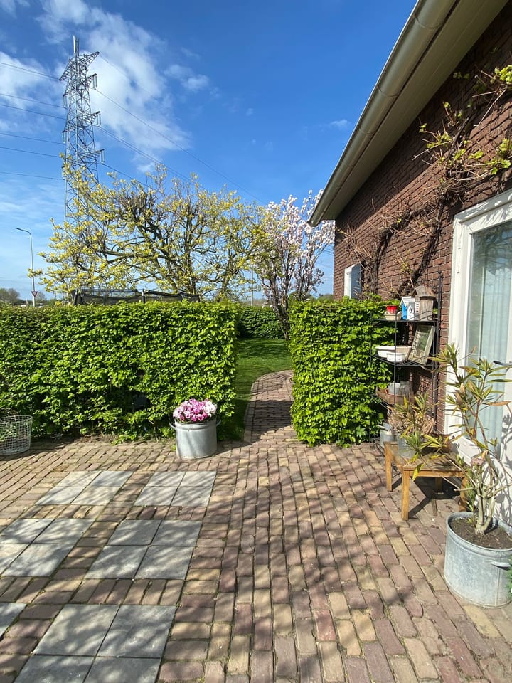 Foto 3 van Tielsestraat 113