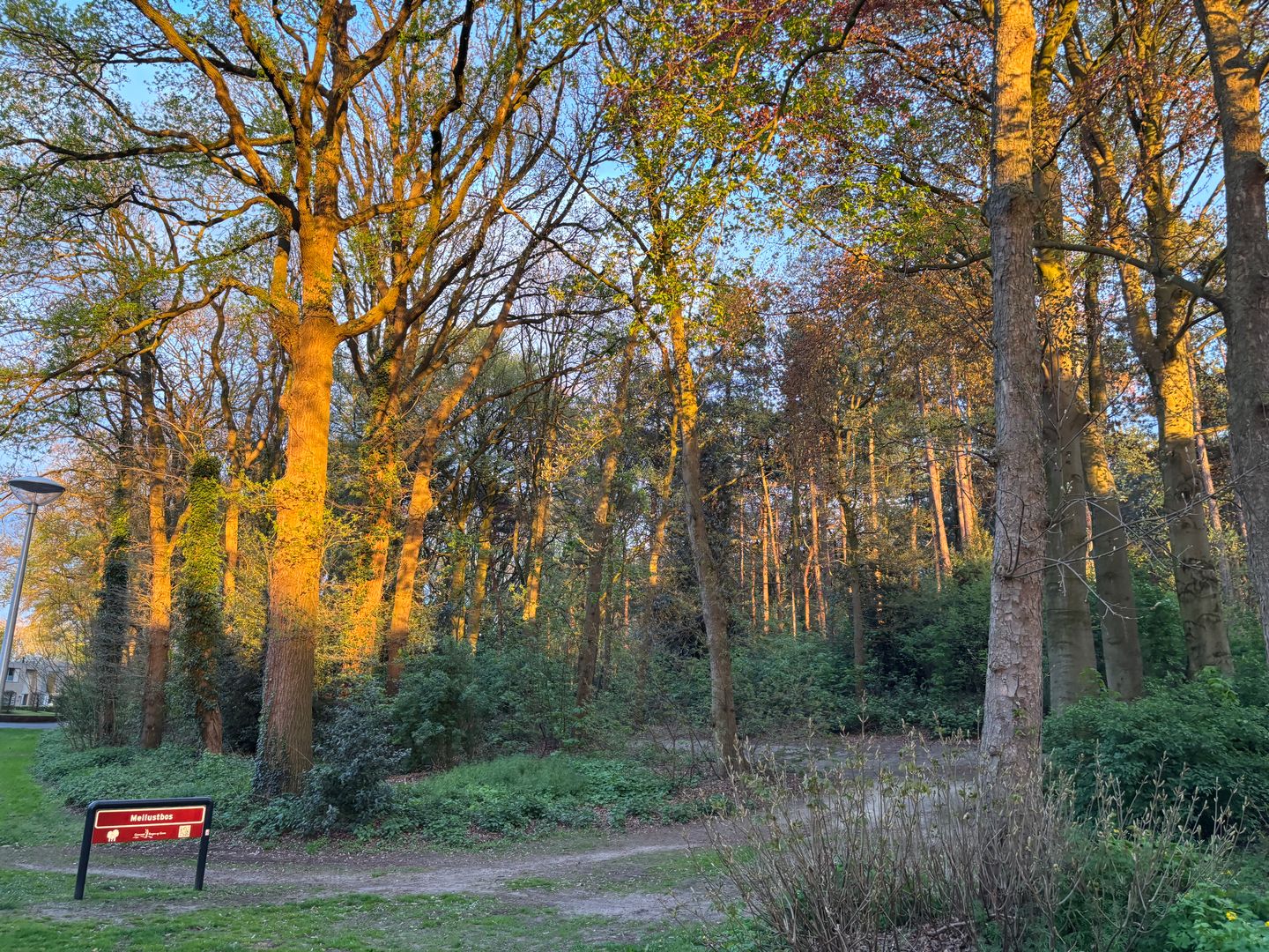 Foto 50 van Meilustweg 41