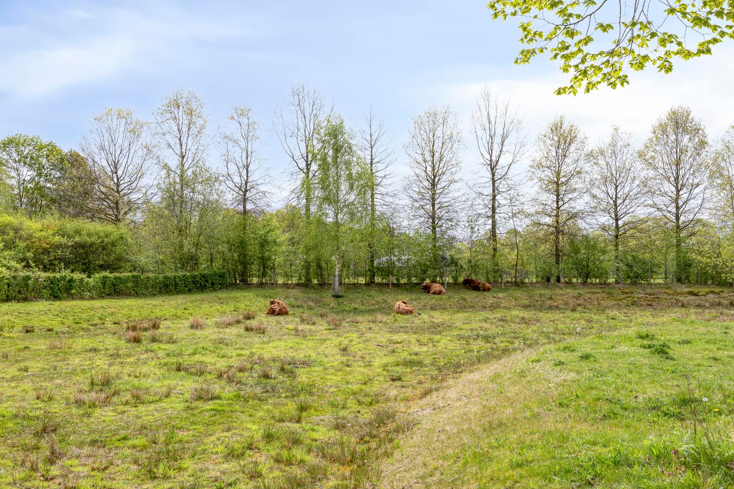 Foto 74 van Vriezenveenstraat 77